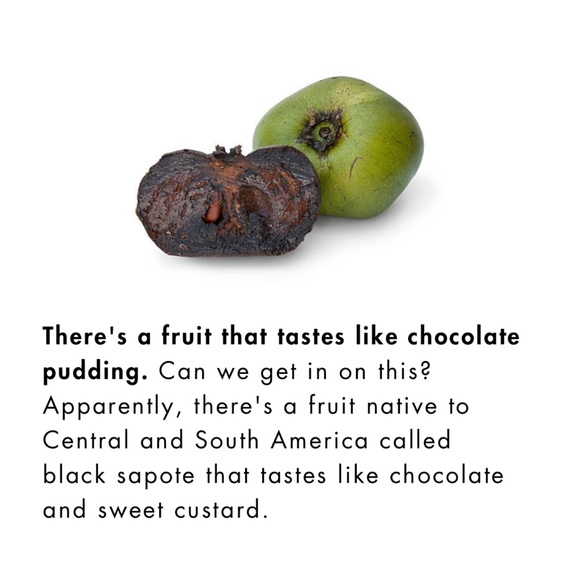 🐿# 2 Like NEW FOLLOW GAME-listing #3 🐿 - Picture 3 of 16